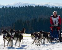 BIESZCZADY: Powiew Alaski w Lutowiskach