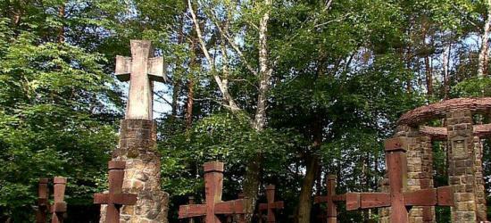 Przybywa turystów na nowych ścieżkach przyrodniczych w Bieszczadach
