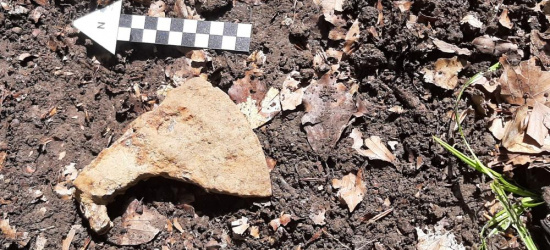 Archeologiczne znaleziska w bieszczadzkim lesie