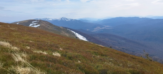 BIESZCZADY: Na Połoninach wiosna (ZDJĘCIA)