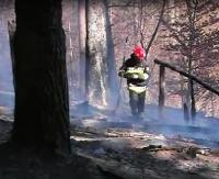 GMINA ZAGÓRZ: Pożar lasu w miejscowości Łukowe (VIDEO)