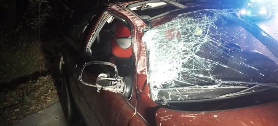 Wypadek w Pastwiskach. Dachowanie osobówki (ZDJĘCIA)