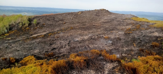 Bieszczady po pożarze. W akcję gaśniczą zaangażowano wiele służb [NOWE INFORMACJE]