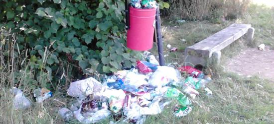 INTERWENCJA: Błonie toną w śmieciach? Syf wokół kosza na śmieci tuż przy wypoczywających (ZDJĘCIA)
