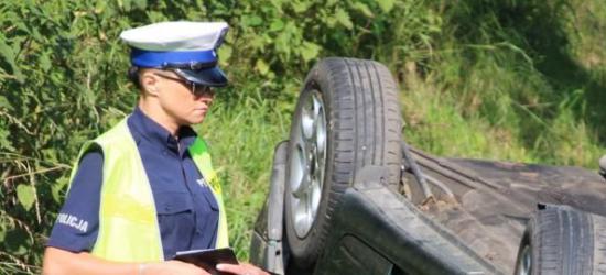 Ciekawe zajęcia ekologiczne dla przedszkolaków w Bieszczadzkim Parku Narodowym