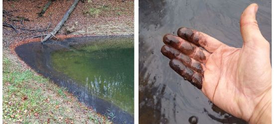 Wylało się coś do Soliny, niech pływa! Co zanieczyściło jezioro?