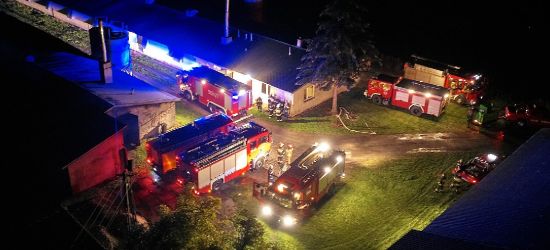PODKARPACIE: Pożar na fermie drobiu. Spłonęło 7000 indyków (FOTO)