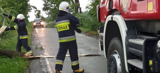 KOSTAROWCE. Połamane konary na „drodze miłości” (ZDJĘCIA)