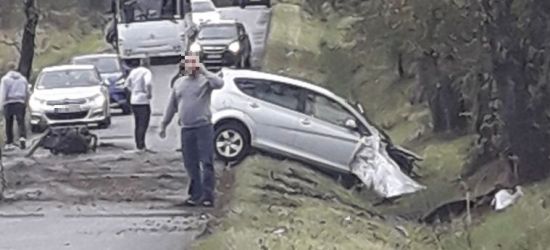 Młody kierowca uderzył w drzewo. Jechał z promilami (ZDJĘCIE)