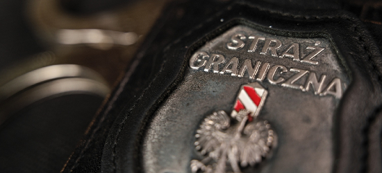 Obywatel Ukrainy nielegalnie przekraczał granicę z wykorzystaniem Diia.pl