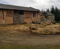 Skandaliczne warunki w gospodarstwie. Fetor od czterech padłych koni, psy karmione ich mięsem (ZDJĘCIE)