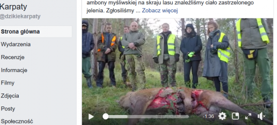 BIESZCZADY: Martwy jeleń. Zabił myśliwy czy inny jeleń?