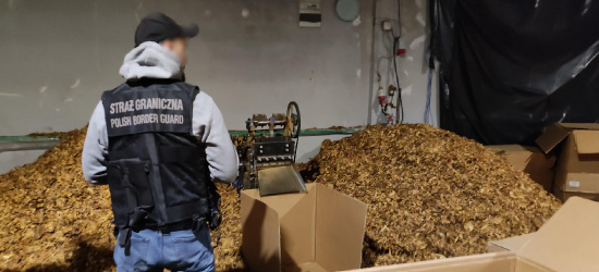 70 ton tytoniu i 13 milionów papierosów – bilans międzynarodowego śledztwa (VIDEO, ZDJĘCIA)