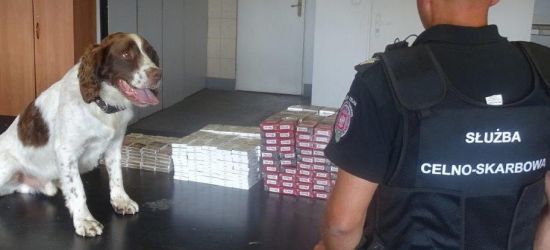GRANICA: Przemytnicze plany spaliły na panewce (ZDJĘCIA)