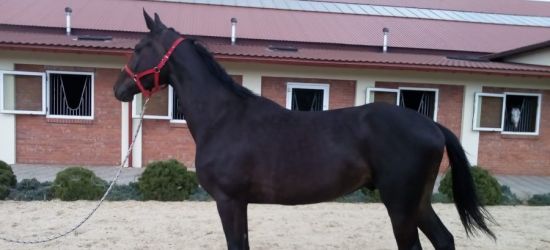 Owidiusz zasilił szeregi podkarpackiej policji (ZDJĘCIA)