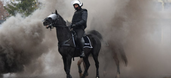 Policyjne konie galopem „przeszły” egzamin (FOTO)