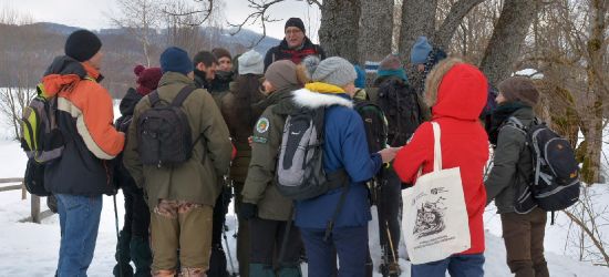Warsztaty dla nauczycieli i osób zajmujących się edukacją przyrodniczą.