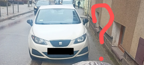 PARKOWANIE PO SANOCKU: Niekwestionowany ,,Mistrz Parkowania” (ZDJĘCIA)