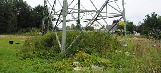 Próbował ściąć słup elektroenergetyczny (FOTO)
