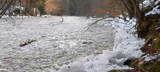 BIESZCZADY: Pękły lody na Sanie i Wetlince. Spektakularne zejście kry (VIDEO)