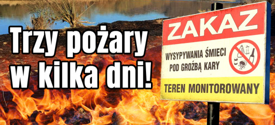 SANOK / TREPCZA. Trzy pożary traw w kilka dni nad Sanem! (ZDJĘCIA)