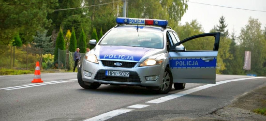 AKTUALIZACJA: Uwaga! „Psia grypa”! Połowa sanockiej komendy na chorobowym