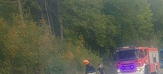 Śmiertelny wypadek w zakładzie drzewnym
