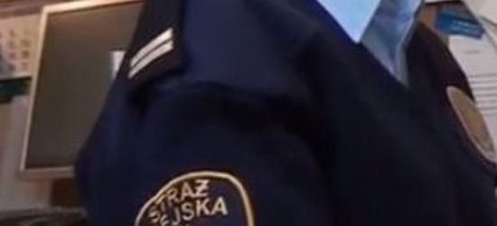 „Świąteczni” kierowcy z promilami. Jeden z nich spowodował dwie kolizje i uciekł z miejsca zdarzenia
